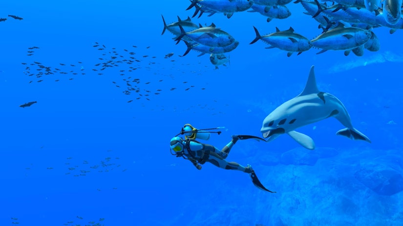 628b2708 900e 430b 8b7d 4e08a2819ec0 endless ocean