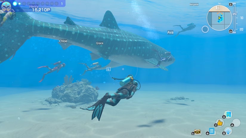 9495b3b3 1c9e 4235 bb4f 705c3961632a endless ocean fish