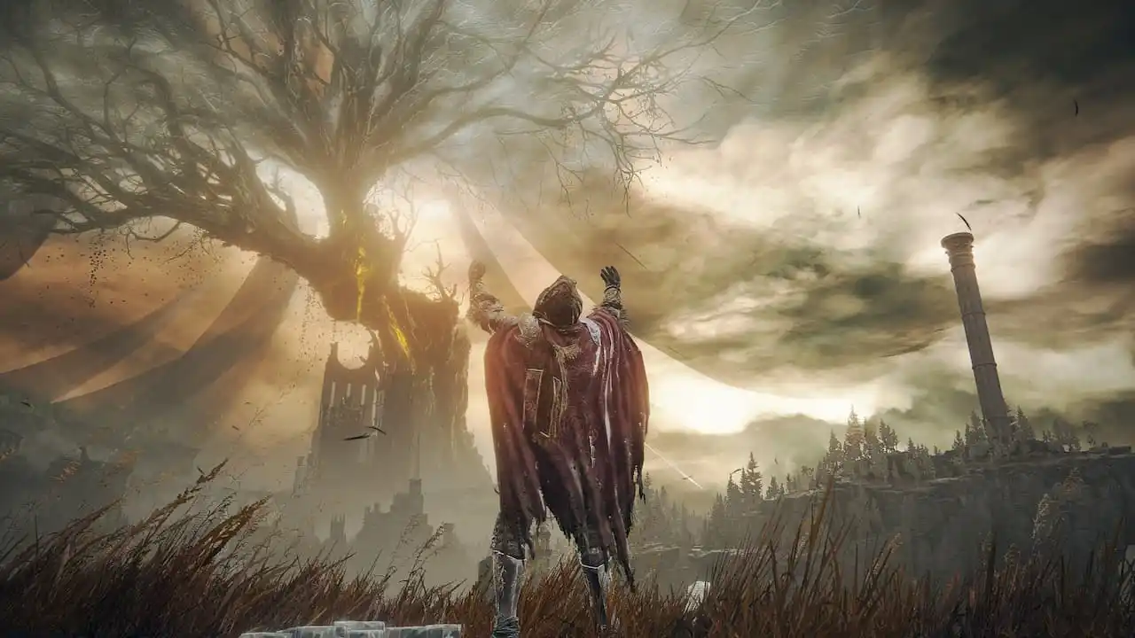 elden ring shadow of the erdtree duplicate remembrances